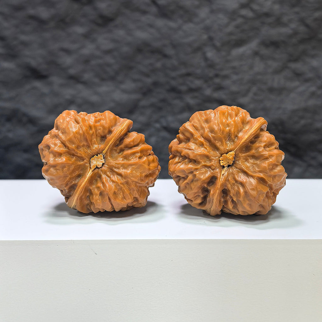 【收藏級】蟾蜍水晶蛙 文玩核桃 (3.6 × 4.2cm) | [Collector's Grade] Toad Crystal Frog Walnut (3.6 × 4.2cm) - SKU: SJW-1A7