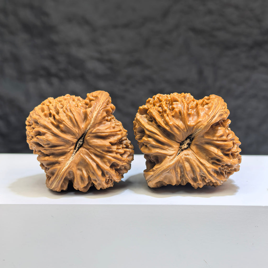 Pair of Wenwan Art Tri-Angular Concave Base Nanjiangstone Wenwan walnuts, deep-base, 40mm, showcasing intricate stone craftsmanship.