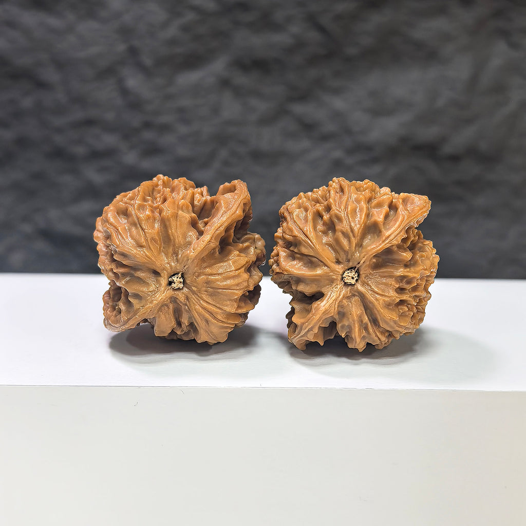 Pair of Panlong Texture Wenwan walnuts by Wenwan Art, featuring 34mm x 31mm classic carved walnuts with intricate dragon pattern.