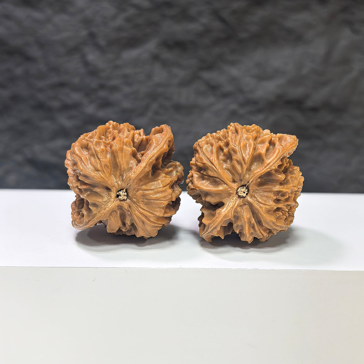Pair of Panlong Texture Wenwan walnuts by Wenwan Art, featuring 34mm x 31mm classic carved walnuts with intricate dragon pattern.