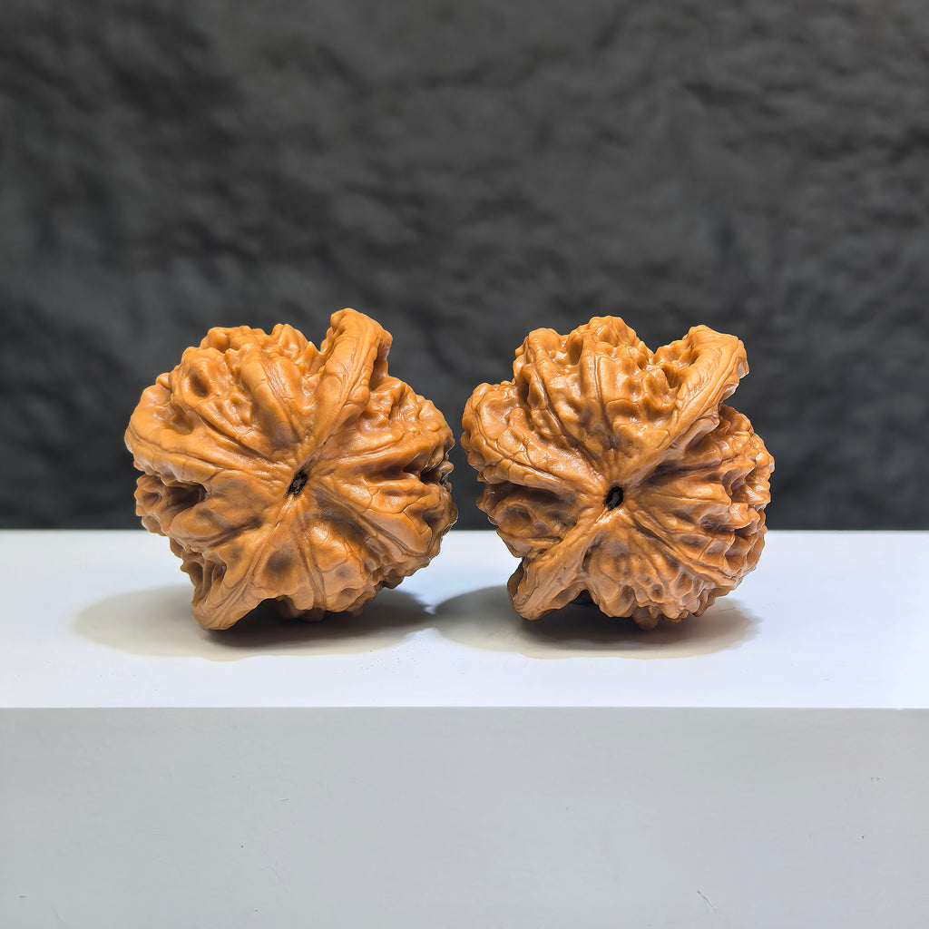 Pair of Wild Wolf Yelang Deep-Carved Wenwan Walnuts from Wenwan Art, showcasing intricate carvings on 38mm walnuts.