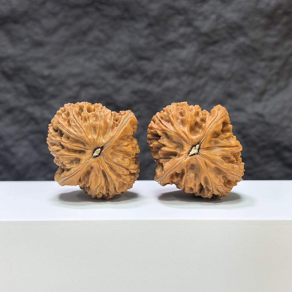 【收藏級】水龍紋 文玩核桃 (3.9 × 4.1cm) | [Collector's Grade] Water Dragon Texture Walnut (3.9 × 4.1cm) - SKU: SLW-1C2