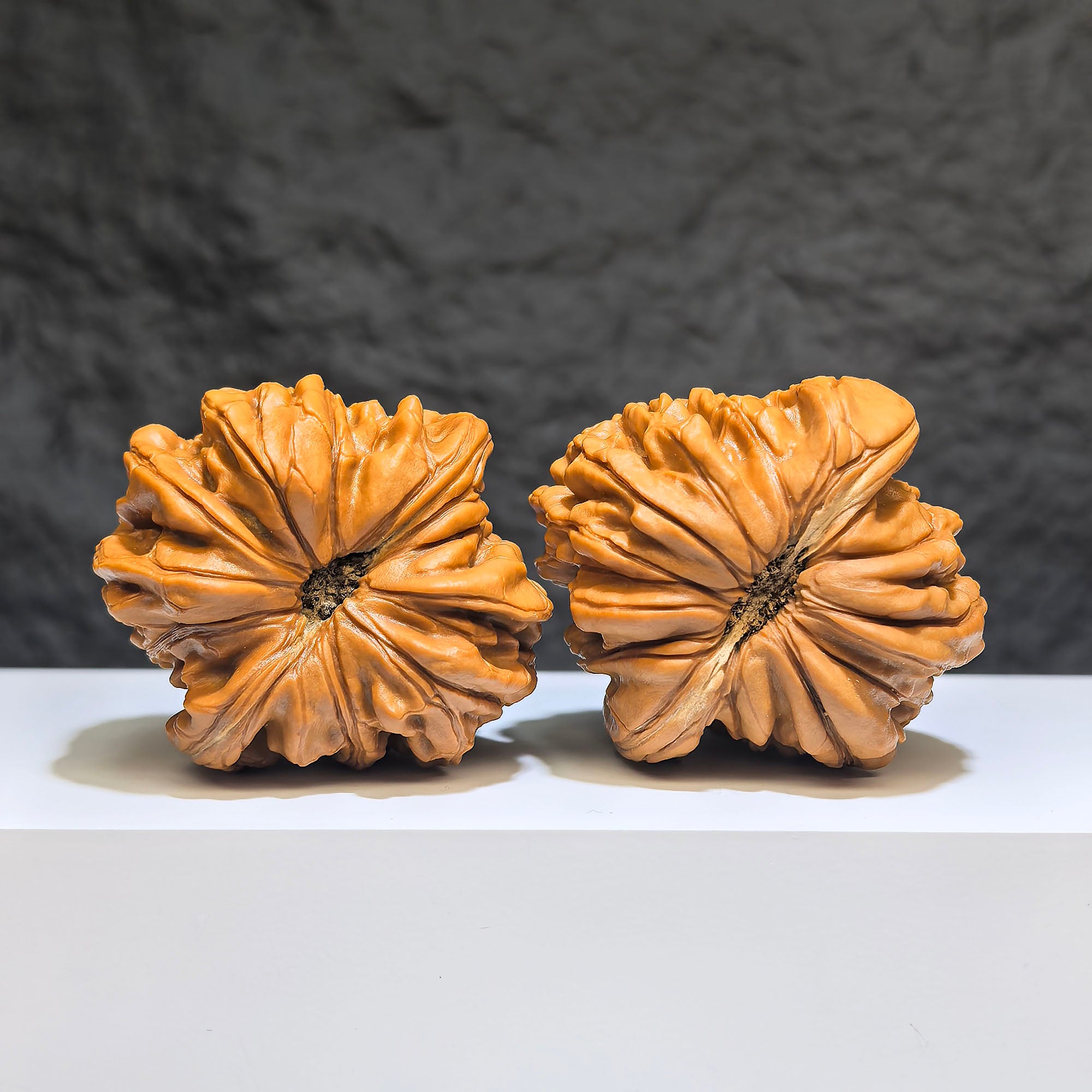 【收藏級】華坤龍 文玩核桃 (4.8 × 4.9cm) | [Collector's Grade] Huakun Dragon Walnut (4.8 × 4.9cm) - SKU: HKL-1Z1