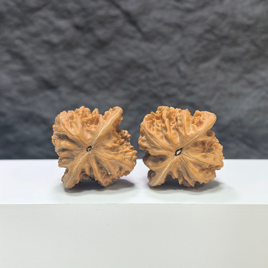 Pair of Xiayunling Classic Wenwan Walnuts from Wenwan Art, 38mm x 37mm, with smooth, polished wood texture and natural walnut color.