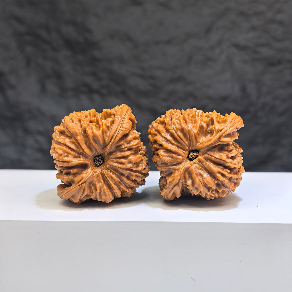 Pair of red shell Nanjiangstone Wenwan walnuts from Wenwan Art, 40mm x 38mm, showcasing vibrant red shells and polished surfaces.