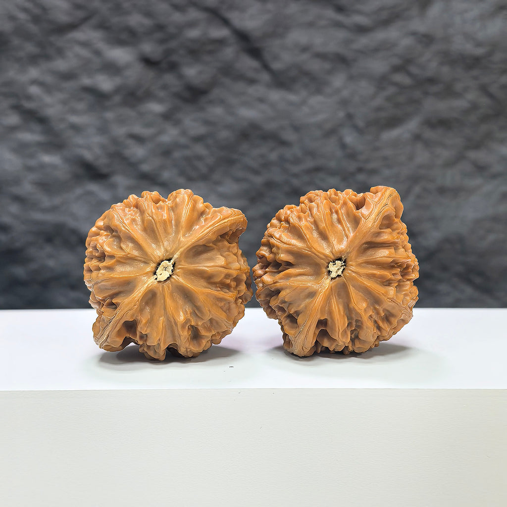 Pair of Classic Scholar Wenwan Walnuts from Wenwan Art, hand-matched with 43mm x 38mm size, showcasing detailed walnut carvings.