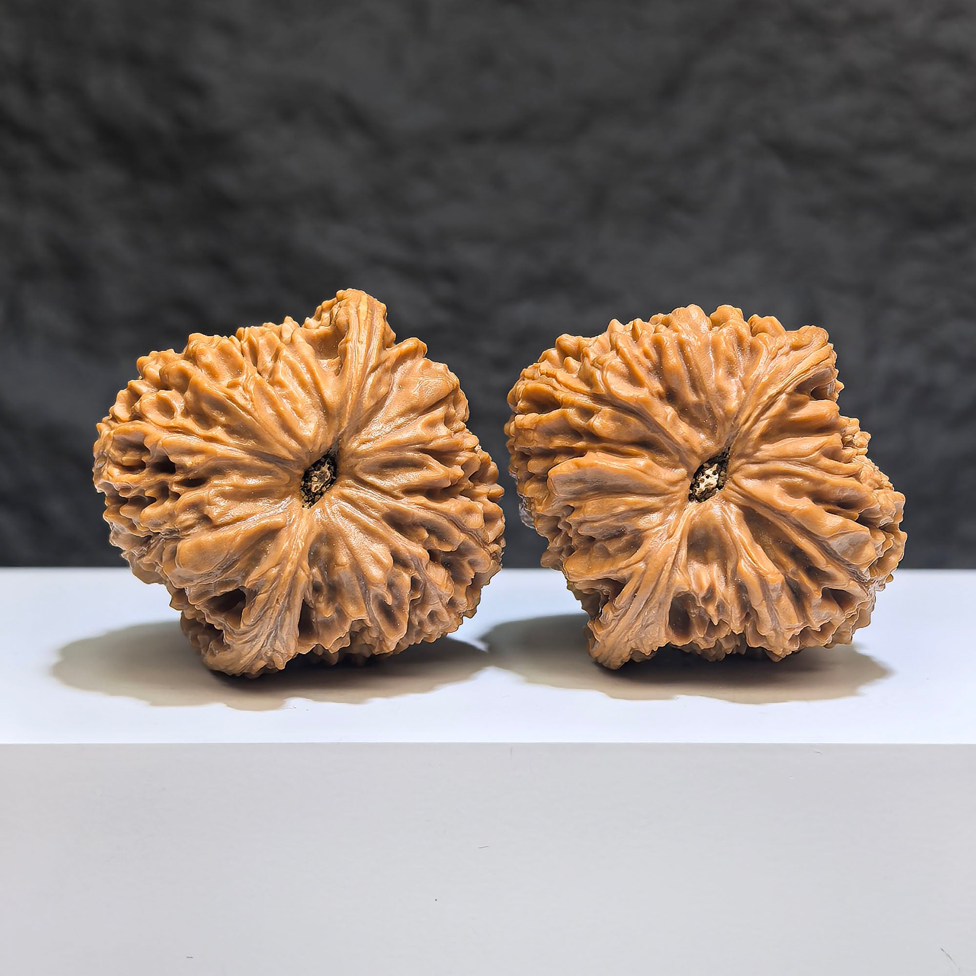 【收藏級】桃心凹底南疆石 文玩核桃 (3.9 × 4.1cm) | [Collector's Grade] Peach Heart Concave Base Nanjiangstone Walnut (3.9 × 4.1cm) - SKU: TXBDNJS-1Z3