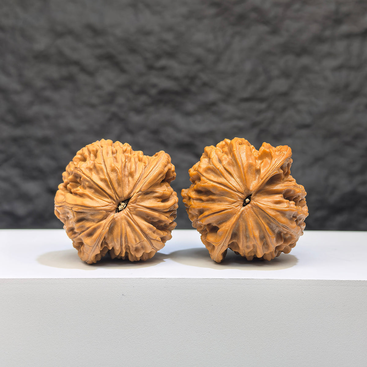 Pair of Authentic Wild Wenwan Walnut from Wenwan Art, featuring natural wild millstone pattern, 39x37mm, detailed close-up image.