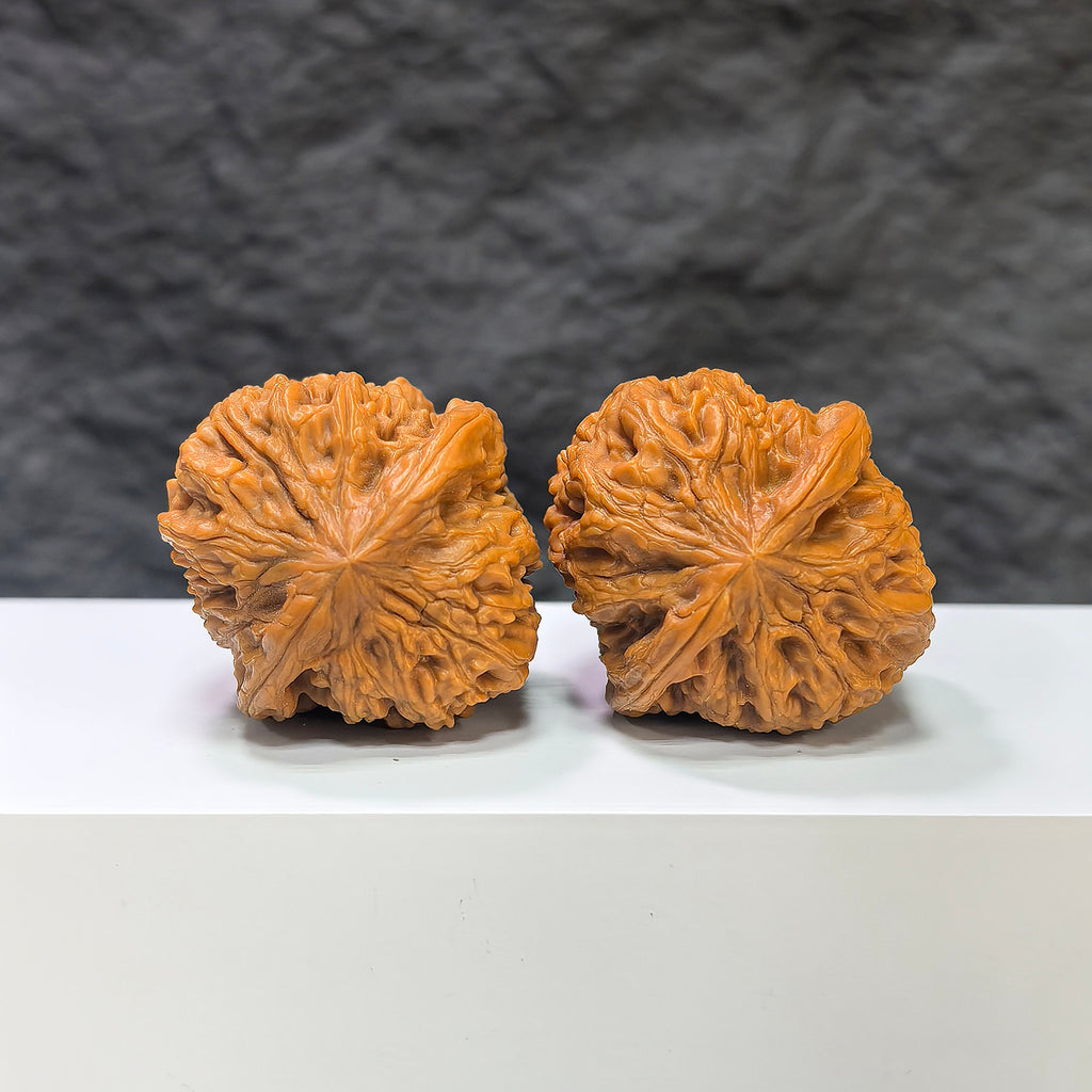Pair of Pinggu Golden Hammer Wenwan walnuts from Wenwan Art, 39mm x 41mm, showcasing intricate natural walnut features.