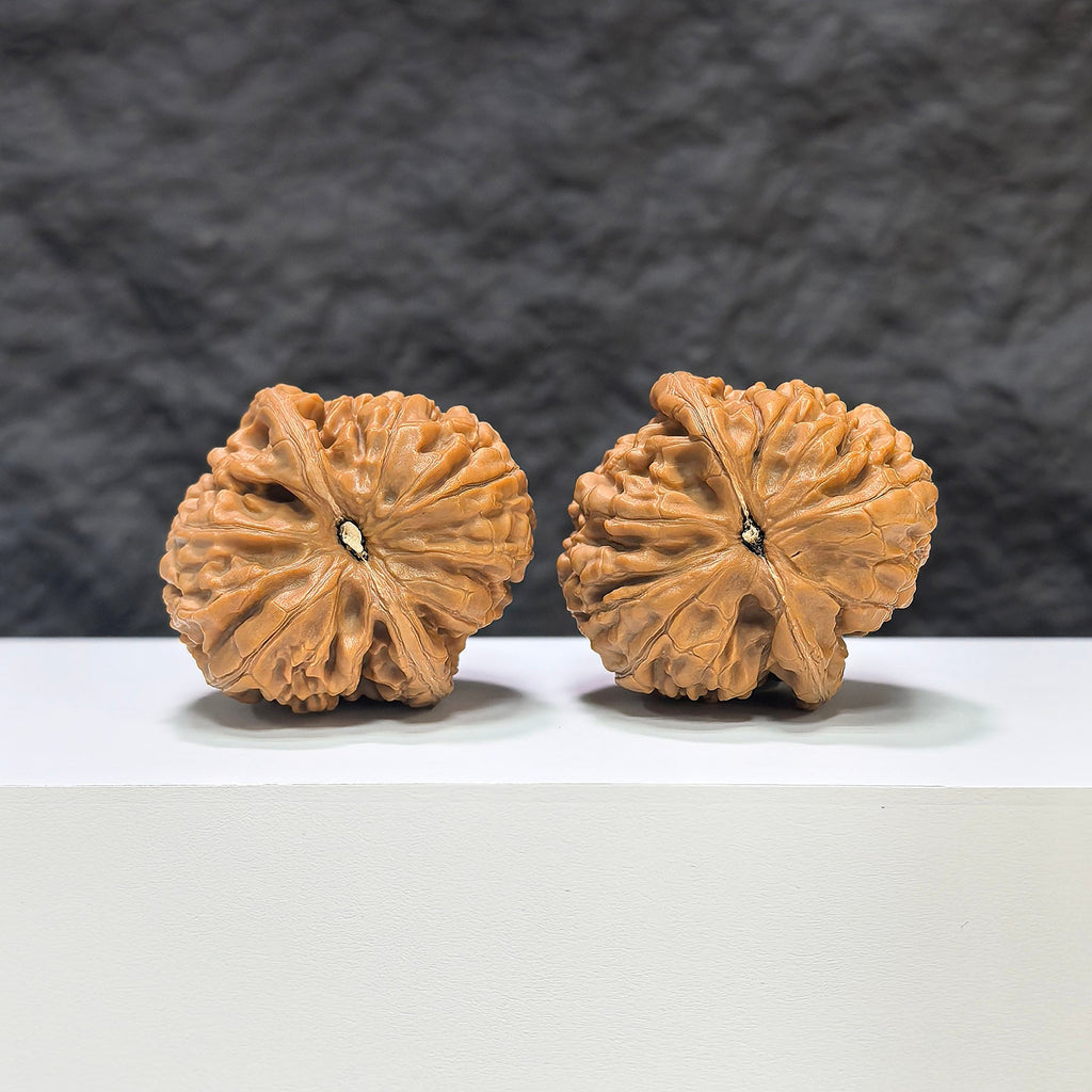 【收藏級】紅錦鯉 文玩核桃 (3.9 × 4.1cm) | [Collector's Grade] Red Koi Walnut (3.9 × 4.1cm) - SKU: HJL-1C9