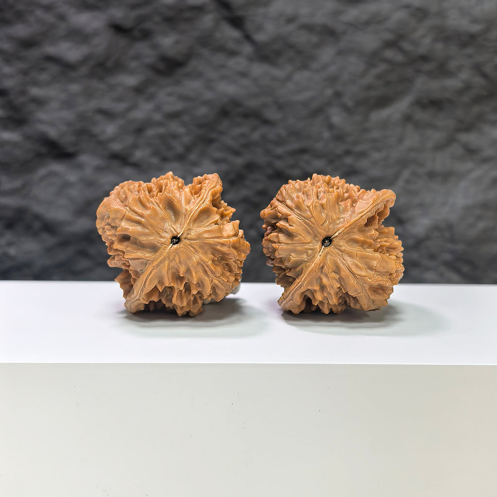 Pair of Golden Kylin Wenwan walnuts from Wenwan Art, featuring intricate carvings and natural wood grain, measuring 37mm x 36mm.