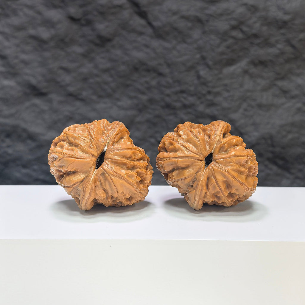 【精選級】平谷元寶 文玩核桃 (3.7 × 4.2cm) | [Selected Grade] Pinggu Sycee Walnut (3.7 × 4.2cm) - SKU: PGYB-1S3