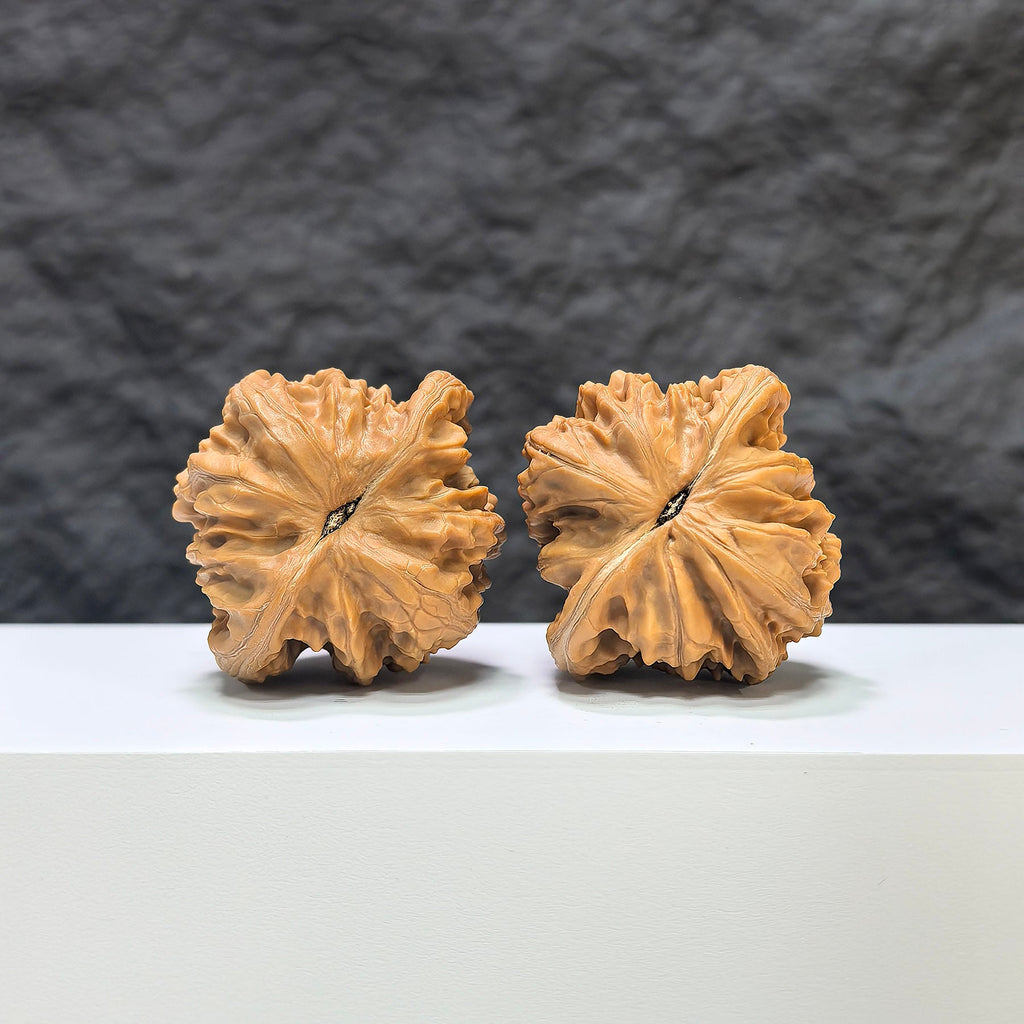 【收藏級】盤龍虎頭 × 霞雲嶺 文玩核桃 (4.3 × 4.0cm) | [Collector's Grade] Panlong Tiger Head x Xiayunling Walnut (4.3 × 4.0cm) - SKU: PLHTXLYL-1C3