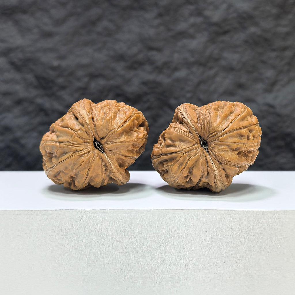 【收藏級】平谷元寶 文玩核桃 (3.7 × 4.5cm) | [Collector's Grade] Pinggu Sycee Walnut (3.7 × 4.5cm) - SKU: PGYB-1C7