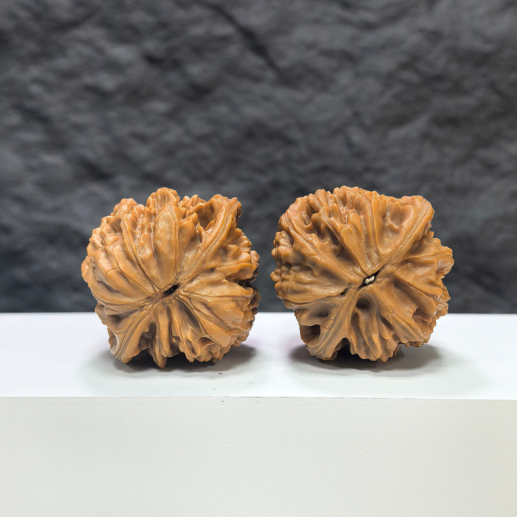 Pair of Wenwan Art Classic Scholar hand-matched Wenwan walnuts, Beijing Jixin style, 42mm x 40mm, detailed wood grain.