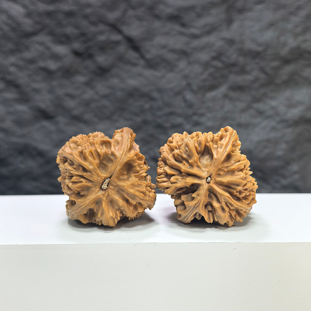 Pair of Beijing Chicken Heart Wenwan walnuts from Wenwan Art, 41mm, showcasing detailed natural walnut textures and unique shape.