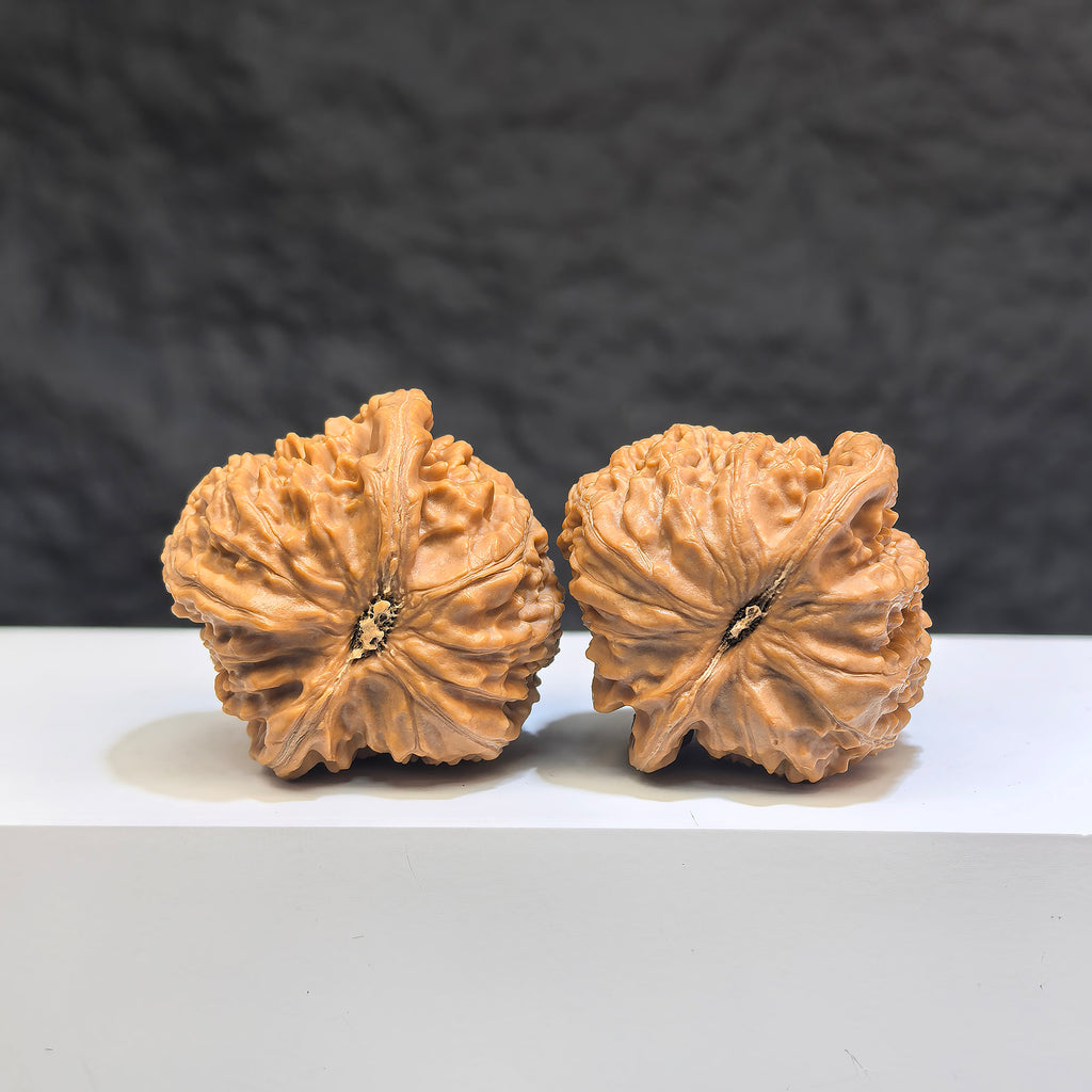 Pair of White Lion Wenwan Walnuts by Wenwan Art, classic white and brown walnut carvings, 36mm size, detailed natural wood texture.