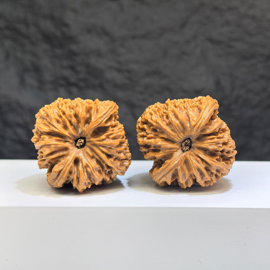 Pair of Nanjiangstone Wenwan walnuts from Wenwan Art, classic 41mm x 40mm walnut carvings with detailed natural stone texture.