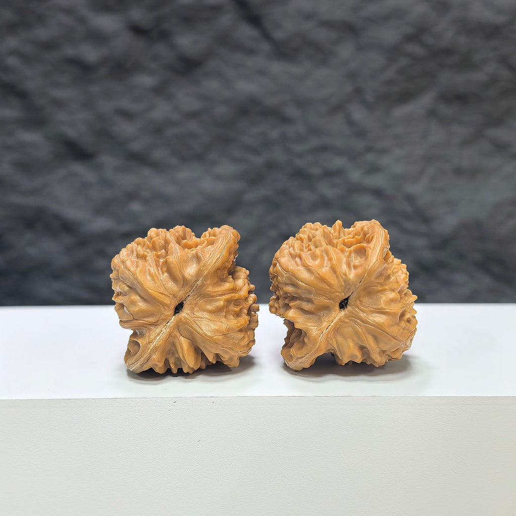 Pair of miniature Wenwan walnuts from Wenwan Art, 32mm, featuring detailed natural wood grain and smooth polished surfaces.