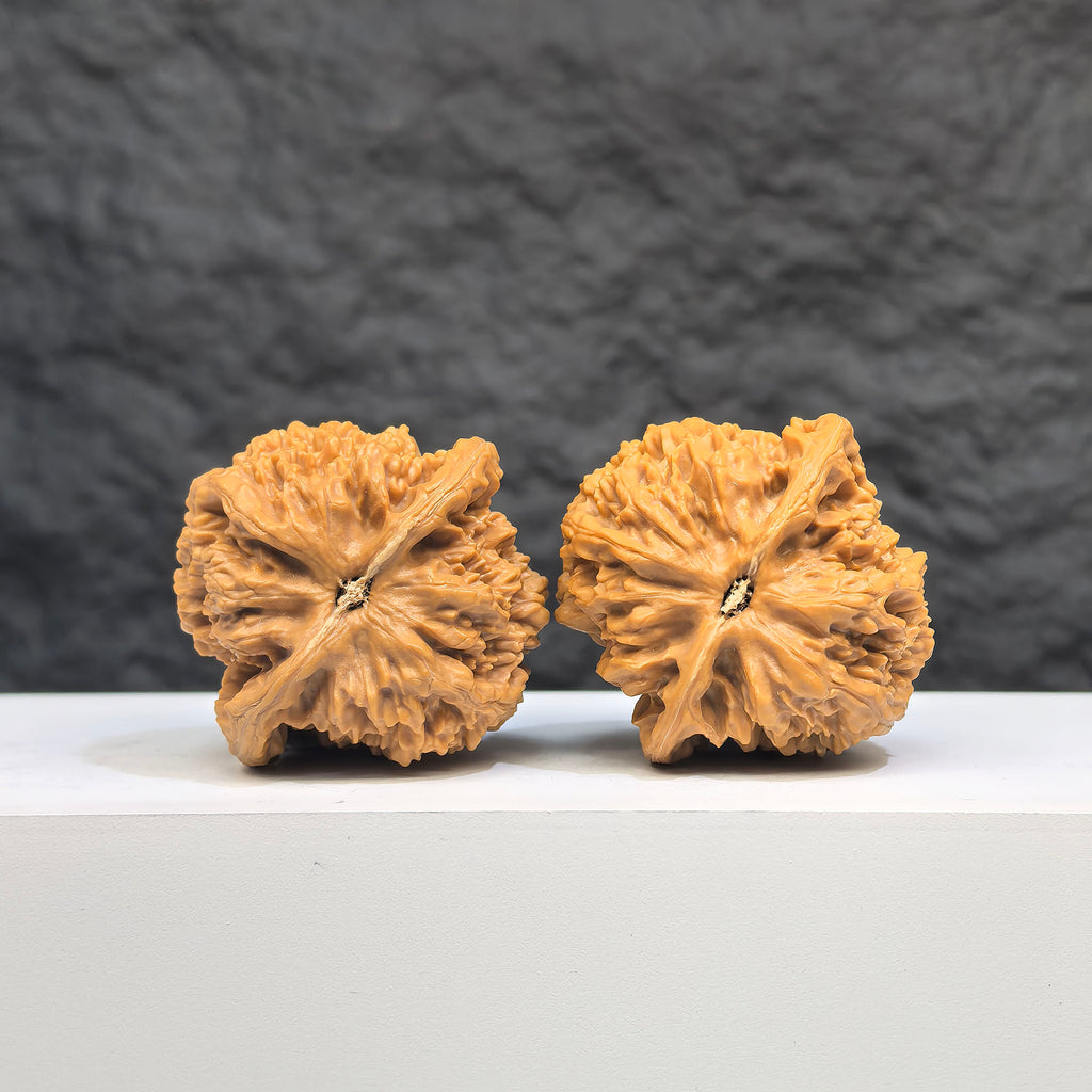 Pair of spherical Wenwan walnuts from Wenwan Art, round-profile full stars design, 38mm size, with intricate natural wood grain details.