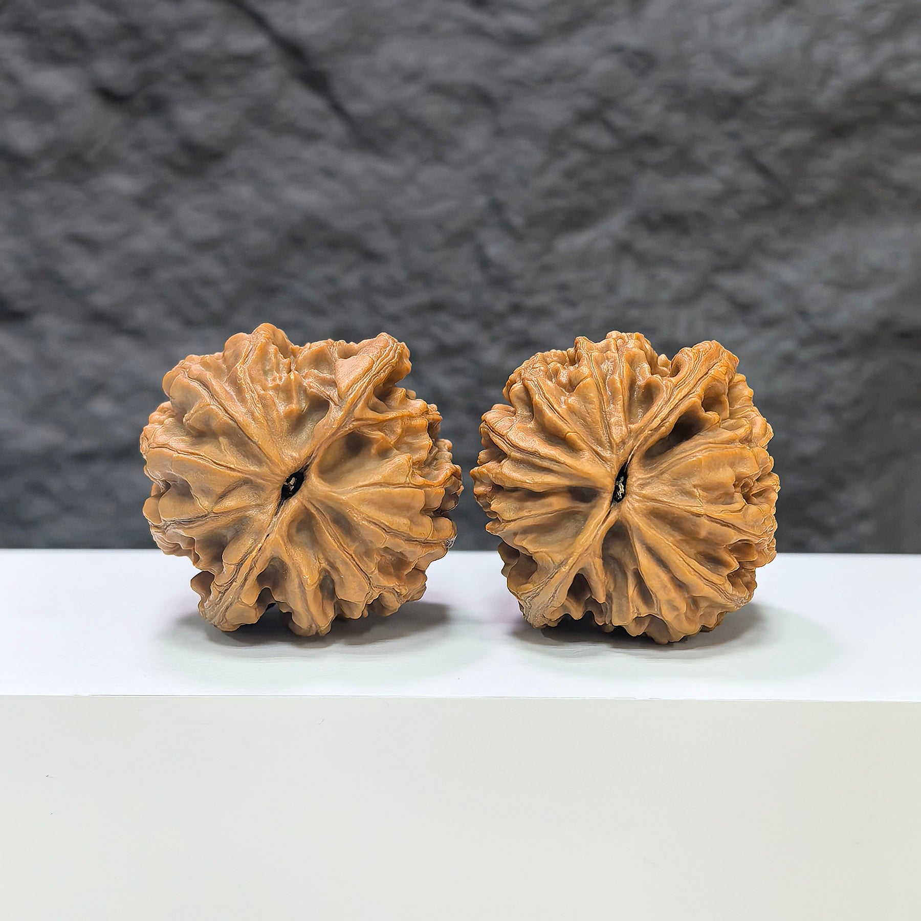 Wenwan Art Sizuolou Classic Wenwan Walnut pair, 41mm x 40mm, showcasing smooth, polished walnuts with intricate natural patterns.
