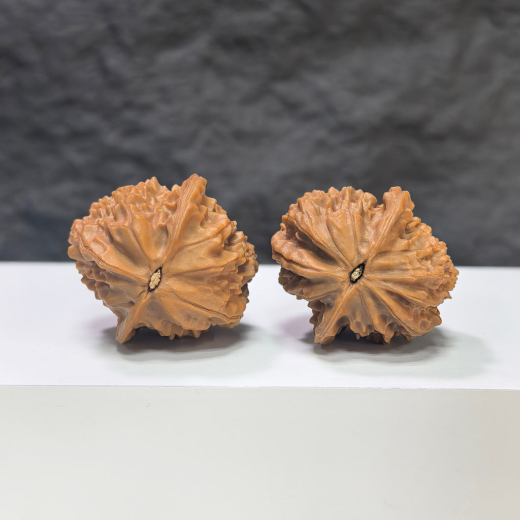 Miniature Wenwan Walnut pair with pocket phoenix tail design, crafted by Wenwan Art, measuring 30x31mm, detailed and polished.