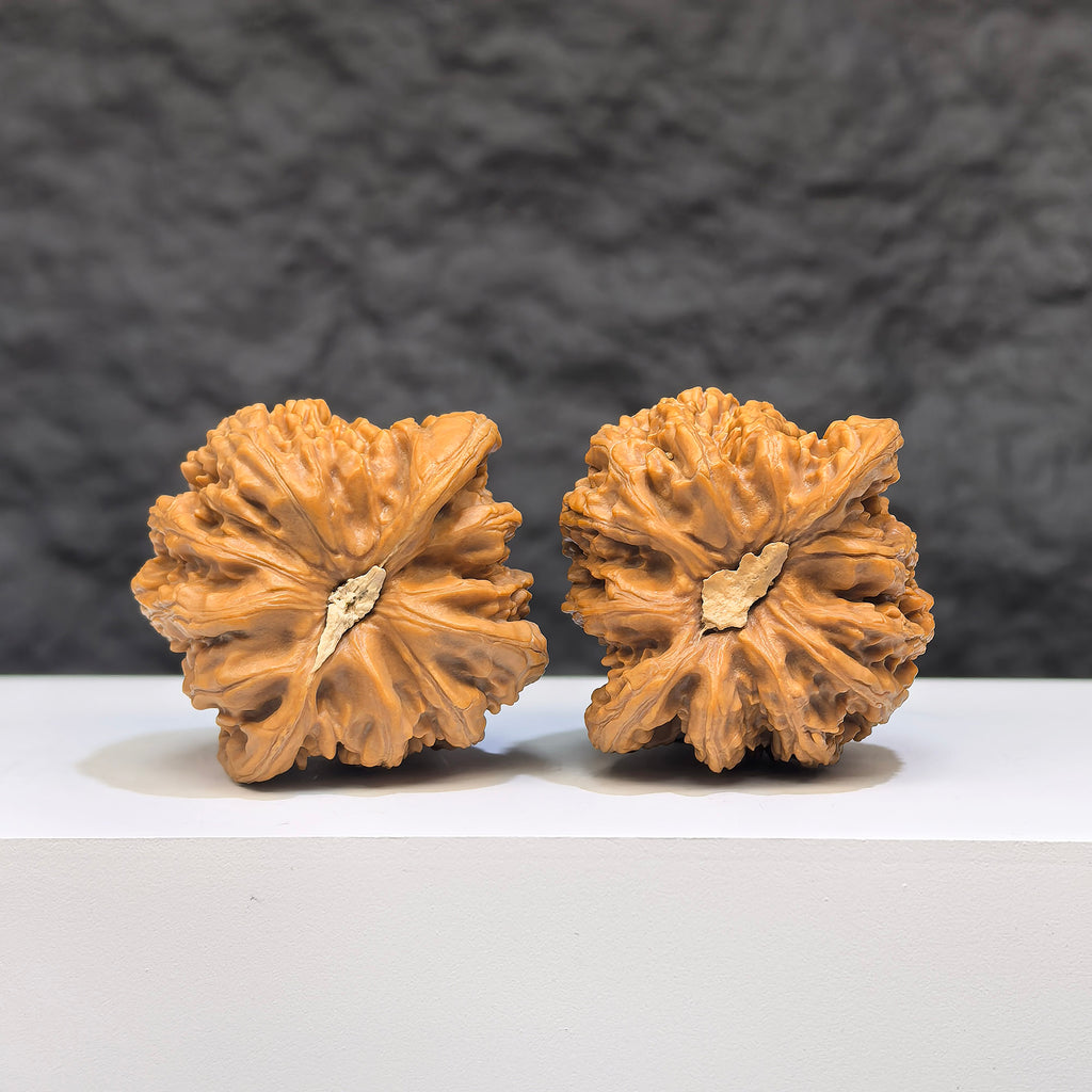 Yuhua Stone Wenwan Walnut pair from Wenwan Art, 36mm x 35mm, showcasing natural stone patterns and smooth polished surface.