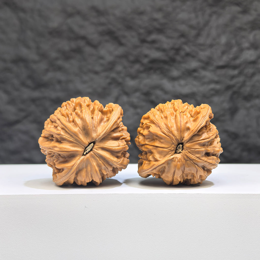 Pair of Wenwan Art Pocket Symmetrical Millstone miniature walnuts, 36mm x 33mm, featuring detailed carvings and natural wood grain.