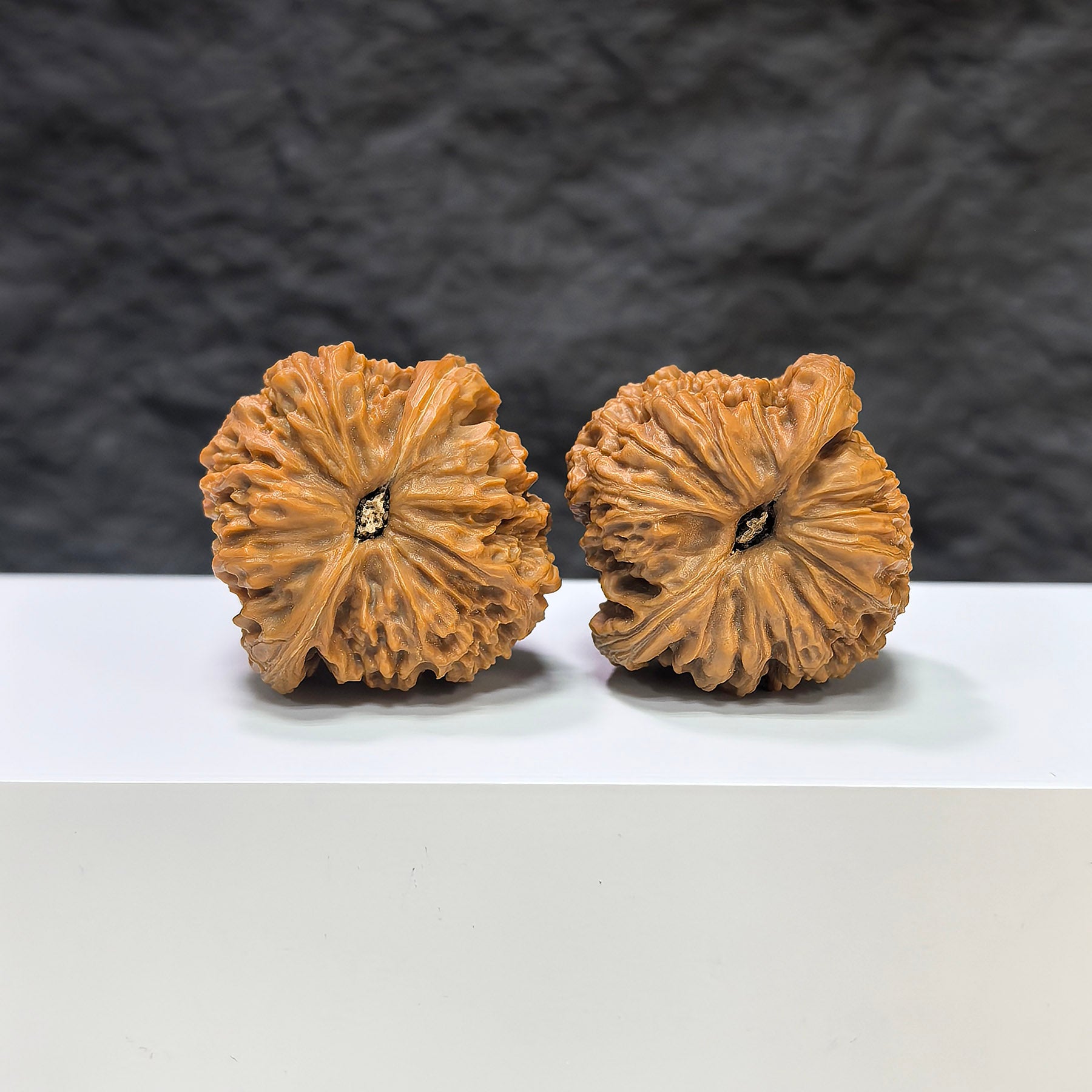 Selected grade Tri-Angular Nanjiangstone Wenwan Walnut, 3.9x3.8cm, featuring smooth polished surface and natural stone texture.