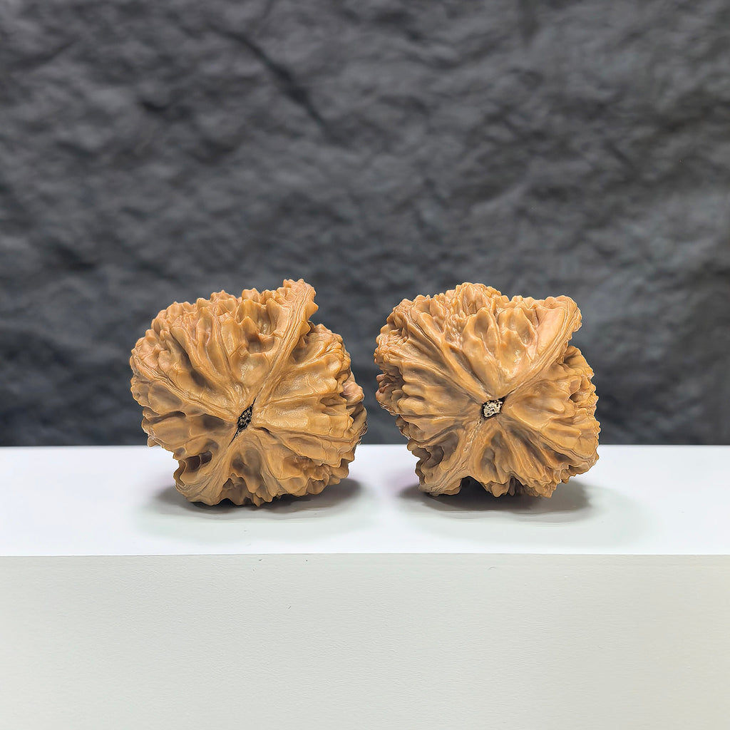 Pair of Beijing Chicken Heart Wenwan walnuts from Wenwan Art, featuring 41mm diameter, showcasing detailed walnut carvings.