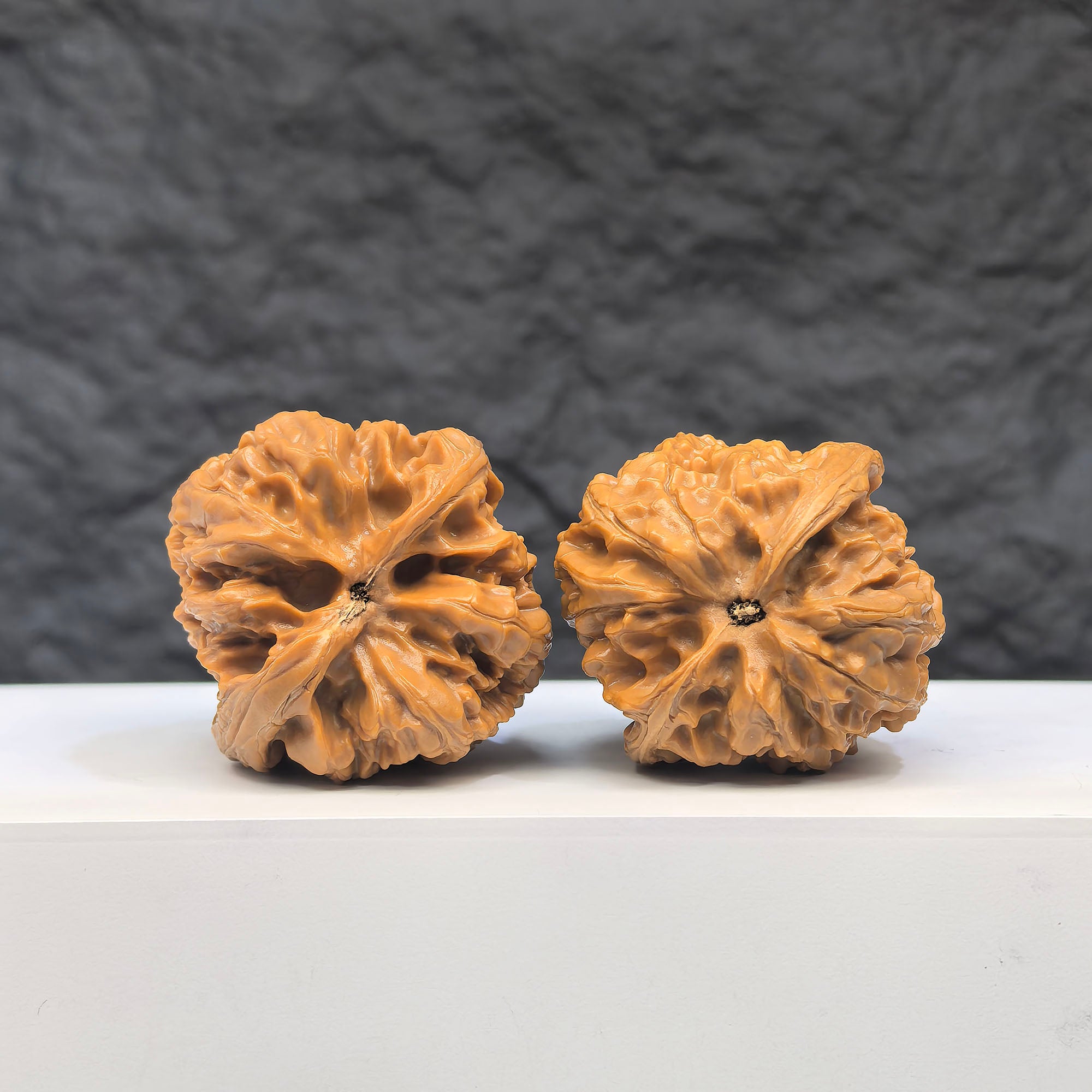 Selected grade Wild Bison Walnut from Wenwan Art, 3.8cm, showcasing smooth surface and natural wood grain for traditional Wenwan play.