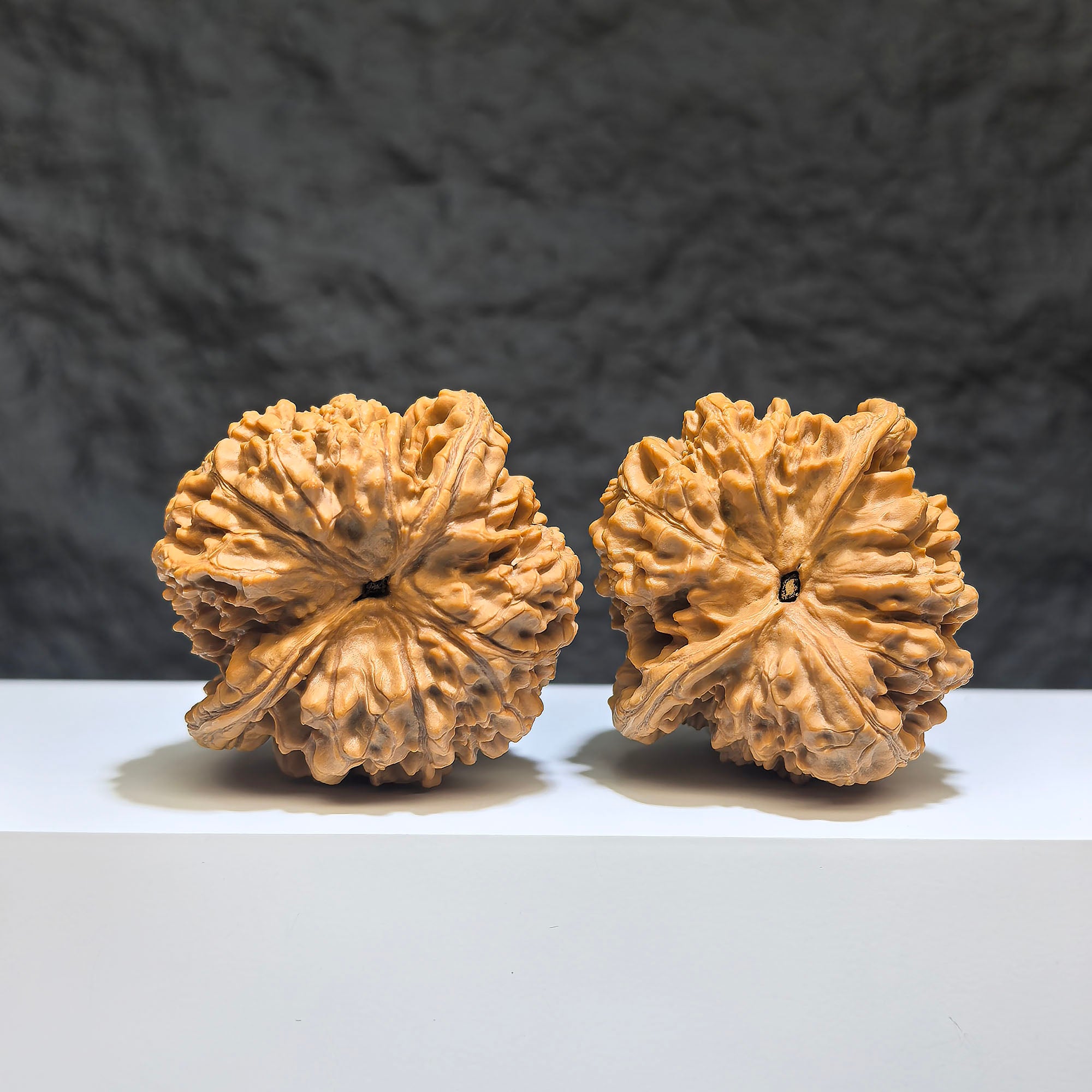 Pair of large Wenwan Art official large Wenwan walnuts, 49mm x 46mm, showcasing detailed natural walnut textures.