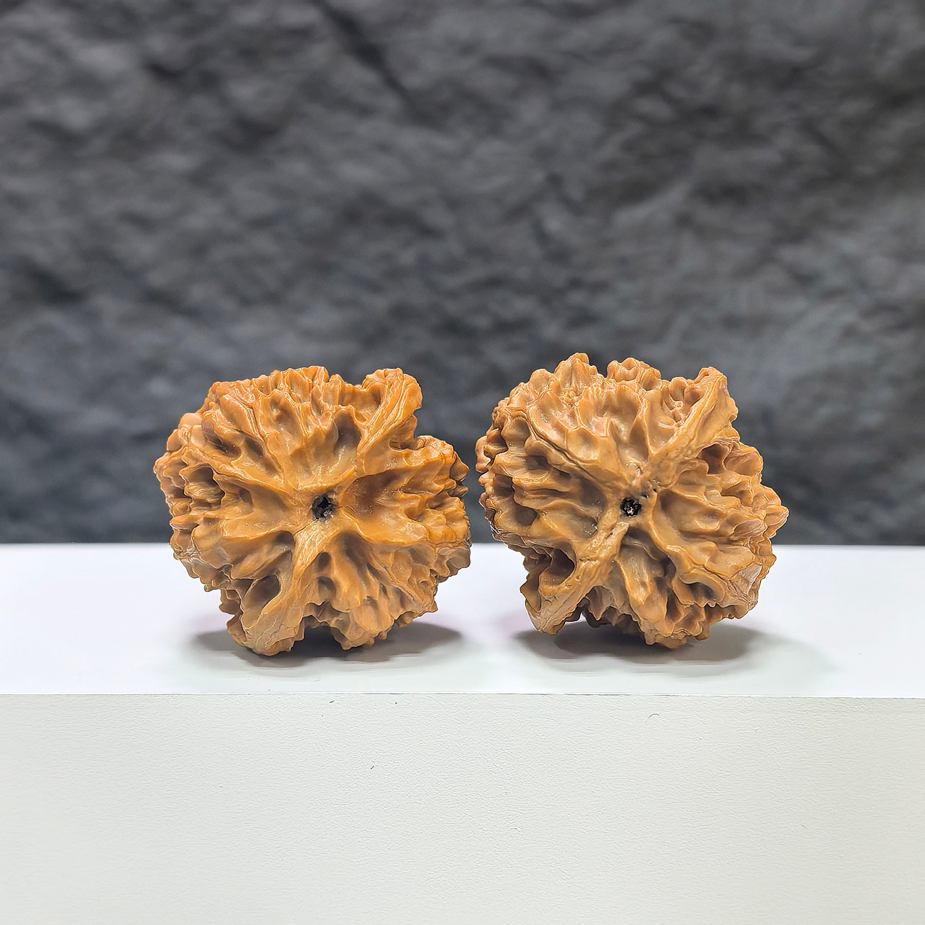 Pair of "Apple Garden" Wenwan walnuts by Wenwan Art, 36mm size, featuring intricate natural patterns and smooth polished surface.