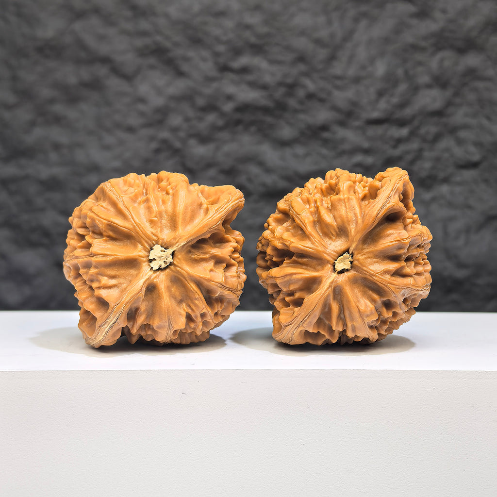 Pair of Palace Lantern Wenwan Walnuts from Wenwan Art, 44mm x 38mm, featuring intricate traditional carved designs.