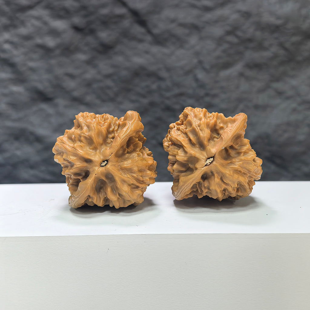 Pair of Wenwan Art Arhat Head round-profile walnuts, 41mm x 38mm, showcasing detailed carved walnut art from Wenwan Walnuts collection.
