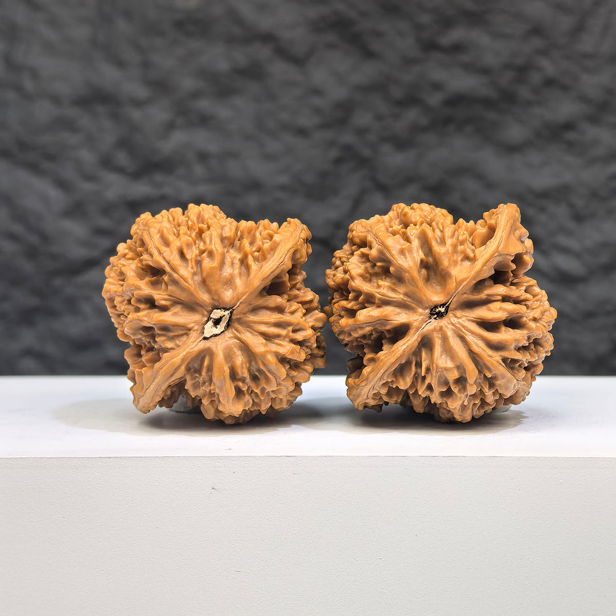 Pair of Babys Breath Full Stars Wenwan Walnuts by Wenwan Art, 38mm x 37mm, showcasing detailed natural wood grain and star pattern.