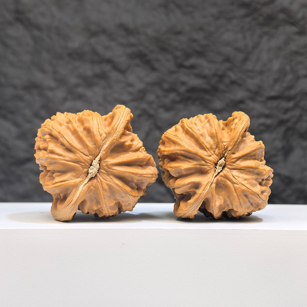 Pair of spherical white lion Wenwan walnuts from Wenwan Art, round-profile 41mm size, featuring detailed white lion carvings.