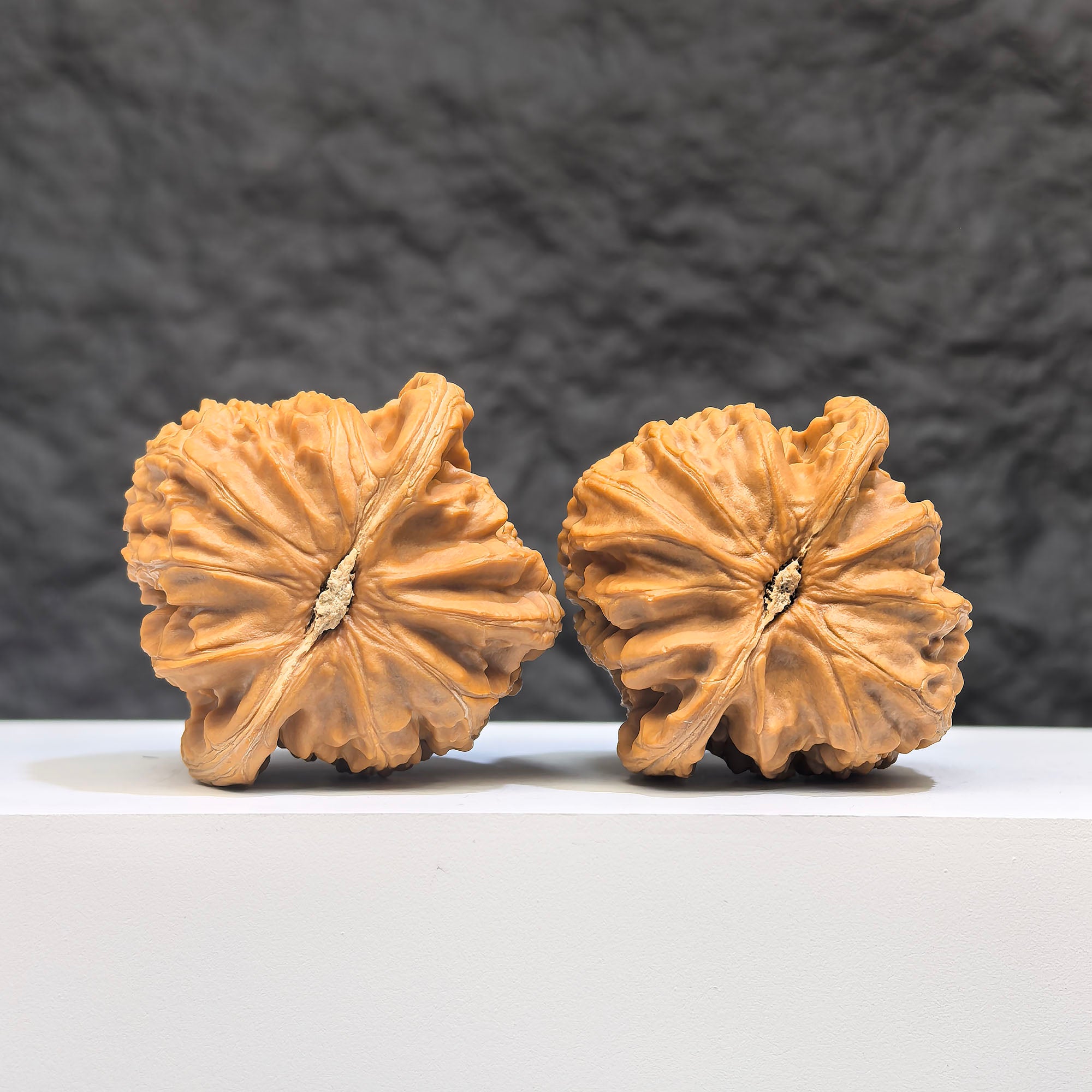Pair of spherical white lion Wenwan walnuts from Wenwan Art, round-profile 41mm size, featuring detailed white lion carvings.