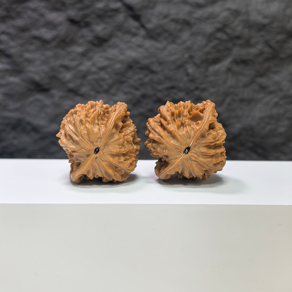 Golden Kylin Wenwan Walnut pair by Wenwan Art, featuring 37mm and 36mm walnuts with detailed golden kylin carvings.
