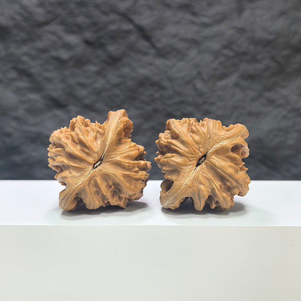 Pair of Peach Heart Concave Base Wenwan Walnuts from Wenwan Art, featuring deep bases, 44mm x 42mm, with intricate natural walnut grain.