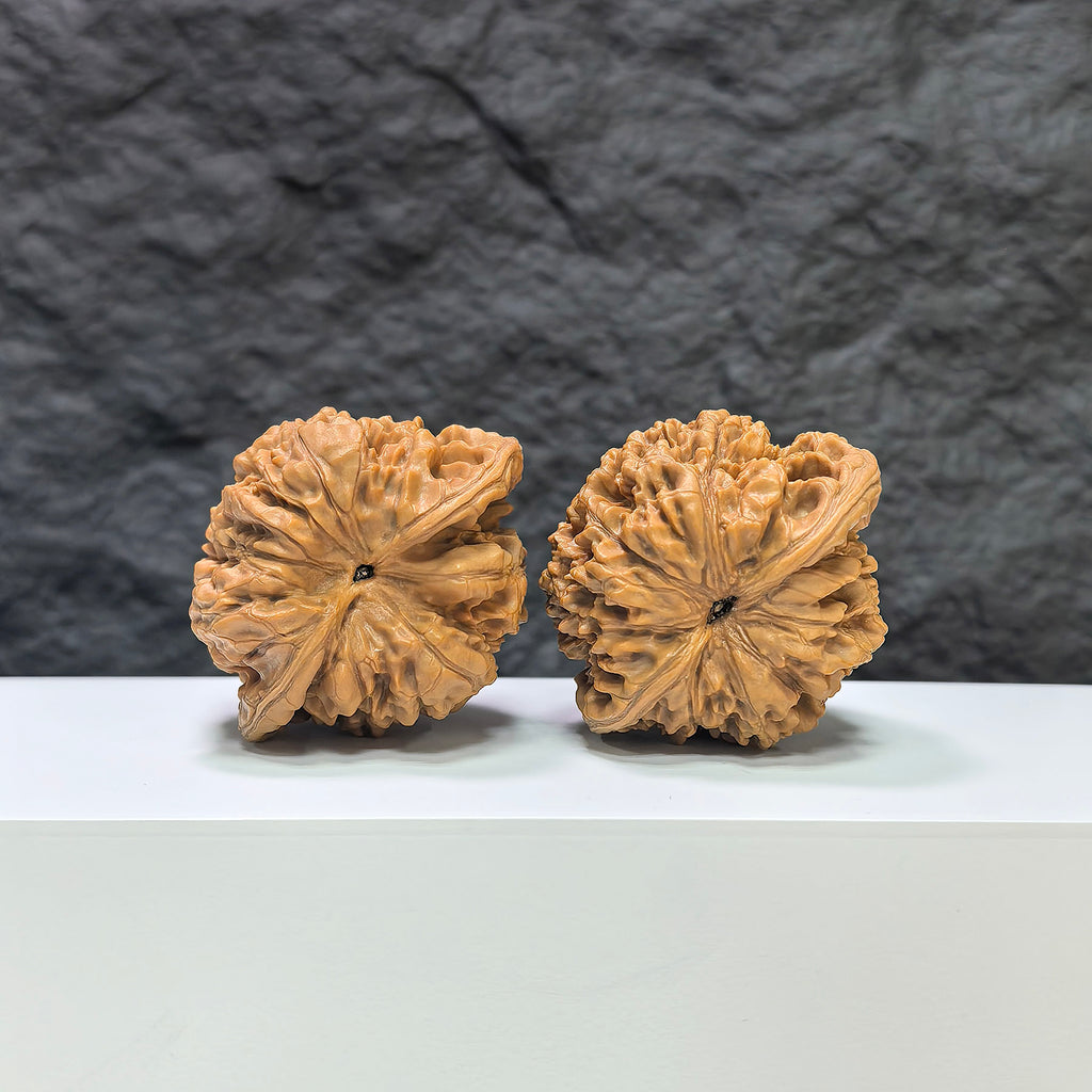 Large Wenwan Walnut with official hat concave base and peach heart shape, from Wenwan Art, measuring 48mm by 41mm.
