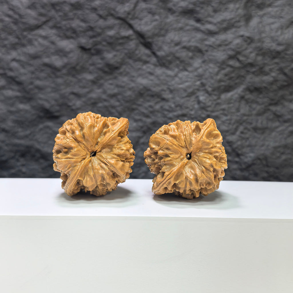 Official Wenwan Art classic walnut pair, 43mm x 37mm, featuring detailed carvings and natural wood grain in a traditional style.