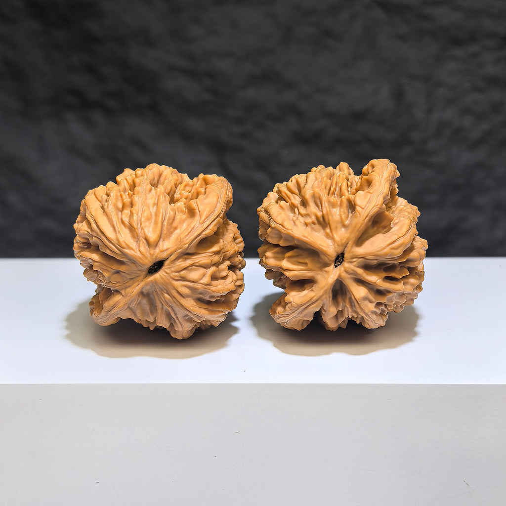 Wenwan Art Wheat Ear Tiger Head Classic Wenwan Walnut pair, 38mm x 36mm, featuring detailed tiger head and wheat ear design.