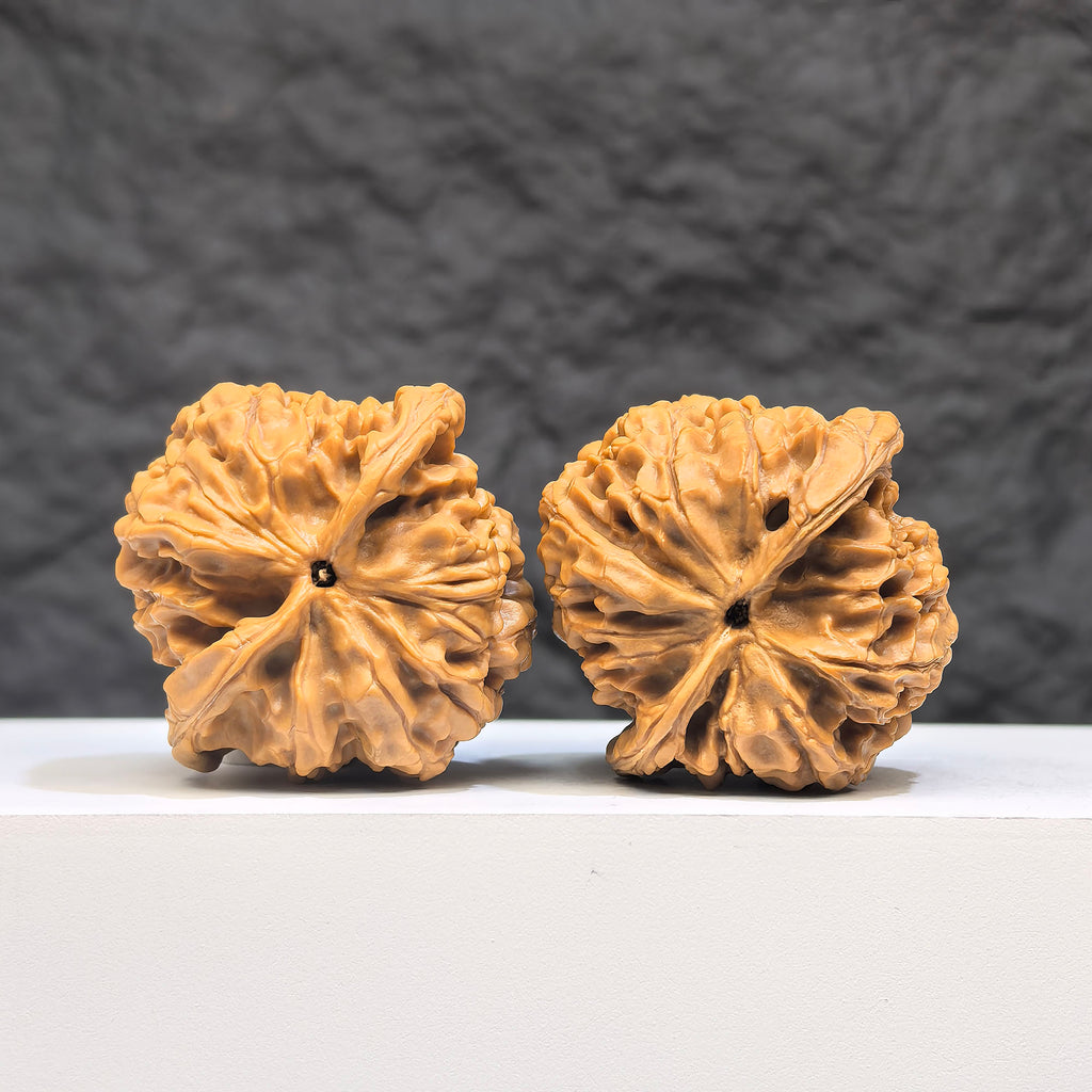 Pair of Wenwan Art Hundred Beasts Lion Head Wenwan walnuts, 38mm x 36mm, featuring detailed carved lion head designs.
