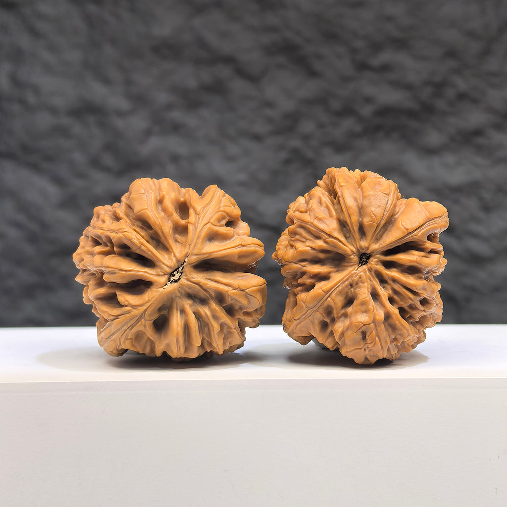 Selected grade Blizzard Wenwan Walnut, 3.4cm, from Wenwan Art, showing intricate natural wood grain and smooth polished surface.