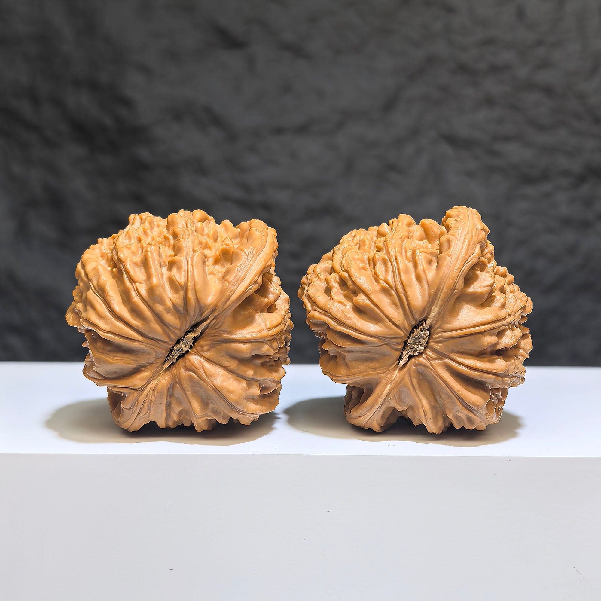 【收藏級】球形白獅子 文玩核桃 (4.3 × 4.2cm) | [Collector's Grade] Spherical White Lion Walnut (4.3 × 4.2cm) - SKU: QXBSZ-1Z2