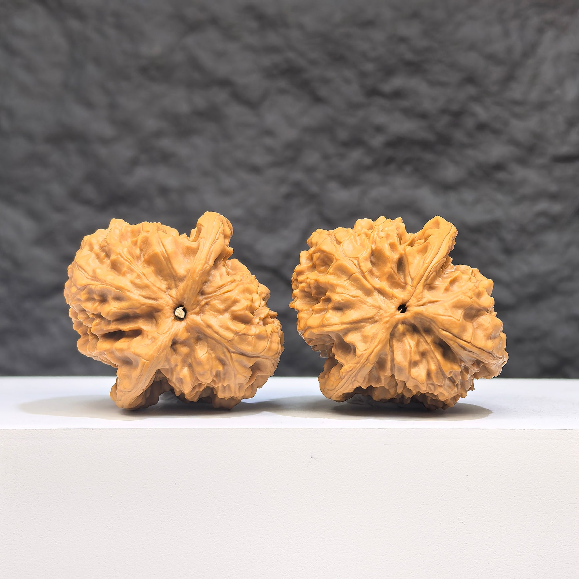 Pair of authentic Wild Wolf Wenwan walnuts from Wenwan Art, 35-37mm, showcasing natural wood grain and rich walnut color.