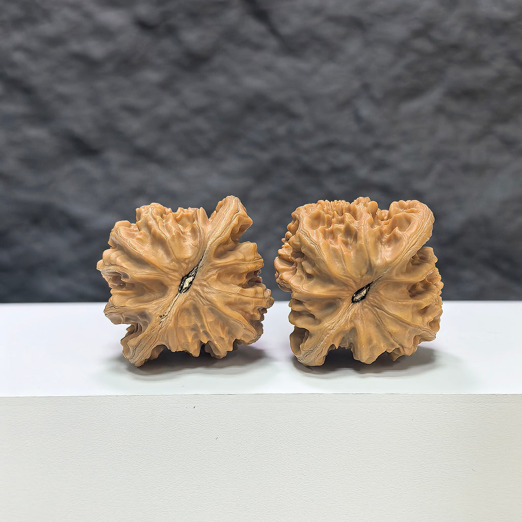 Pair of Xiayunling Classic Wenwan walnuts by Wenwan Art, 37mm x 35mm, featuring detailed natural wood grain and smooth polished surface.