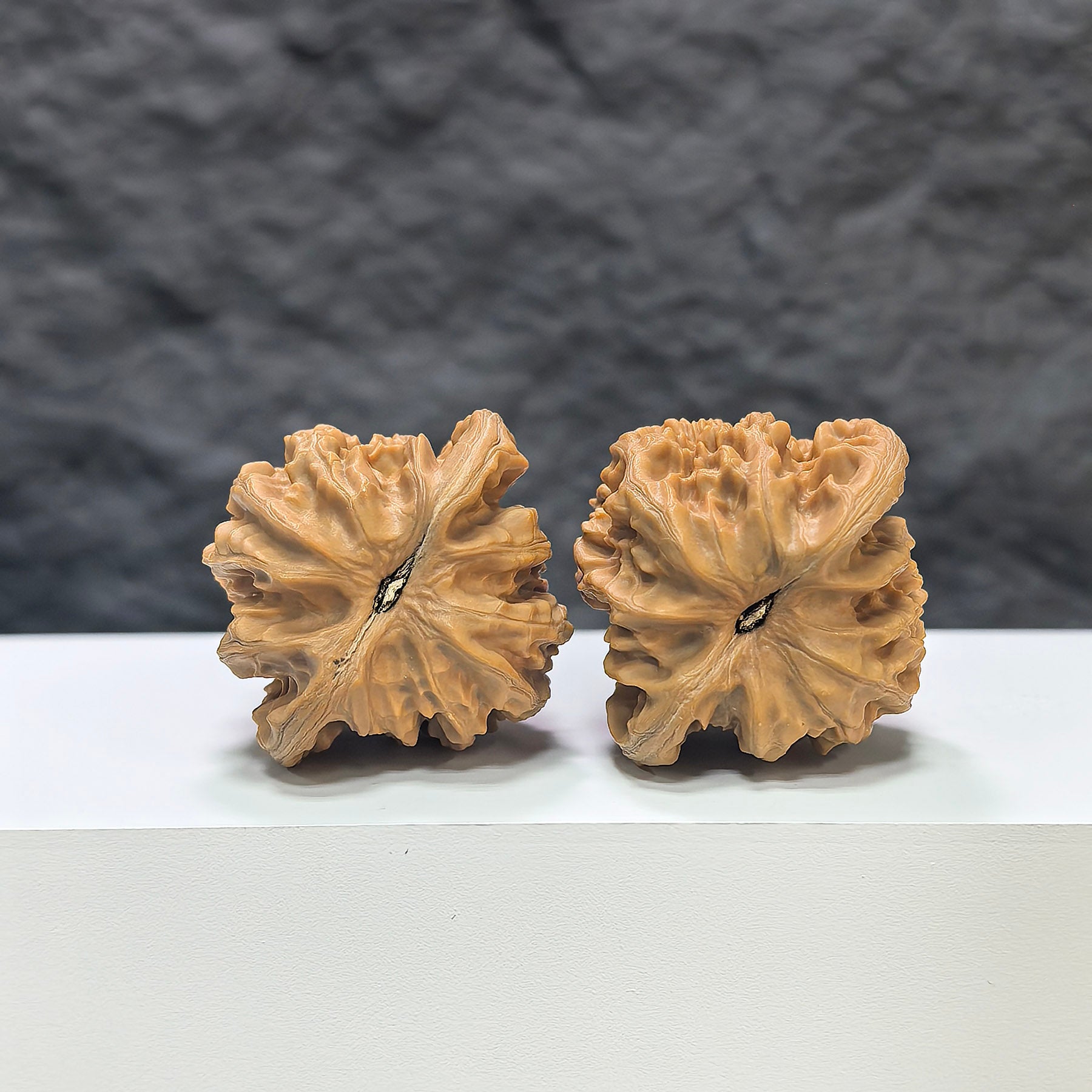 Pair of Xiayunling Classic Wenwan walnuts by Wenwan Art, 37mm x 35mm, featuring detailed natural wood grain and smooth polished surface.