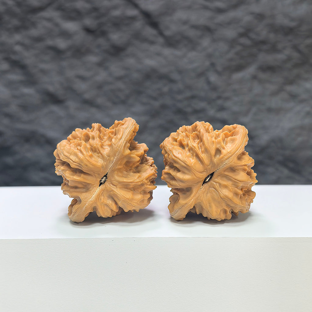 Pair of Peach Heart Concave Base Wenwan Walnuts from Wenwan Art, featuring deep bases and intricate natural walnut grain.